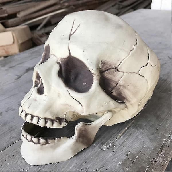 Skummelt plastskjelett med åpen munn, spøkelseshusdekorasjon, Halloween-rekvisitt Y