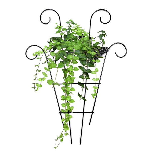 Trädgårdsspaljé i rostfritt stål för klätterväxter Vine Plant Support Spaljé för Vines C C