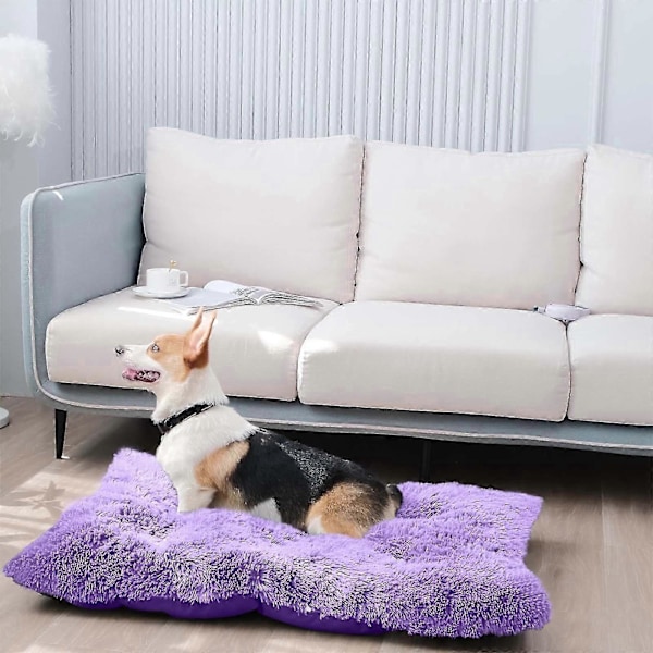 Mukava Kennel Koirien Lemmikkipeti Syvä Uni Pv Petaus Nukkumapaikka Violetti