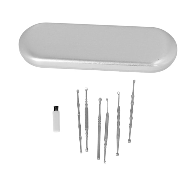 Ear Cleaning Kit Stainless Steel Glossy Polished Spoon Shaped Portable Case Ear Wax Removal Tool for Home Travel Silver