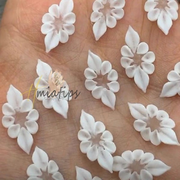 Kawaii Nagelkonstdekorationer med 3D Akrylblommor och Pärlor för DIY Nagelkonst Manikyrdekoration Sommarstil 5st-låda