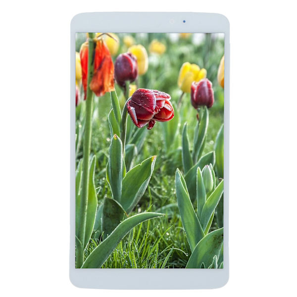 LCD-skærmudskiftning Touch Panel Display Digitizer Erstatningsenhed til LG V500