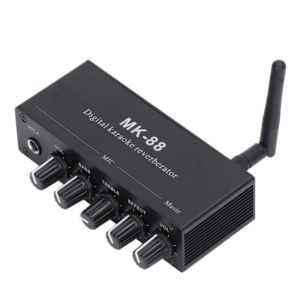 Digital Reverb Stereo Förstärkare Bluetooth 5.0 Dubbel Mikrofoningång DC 12V
