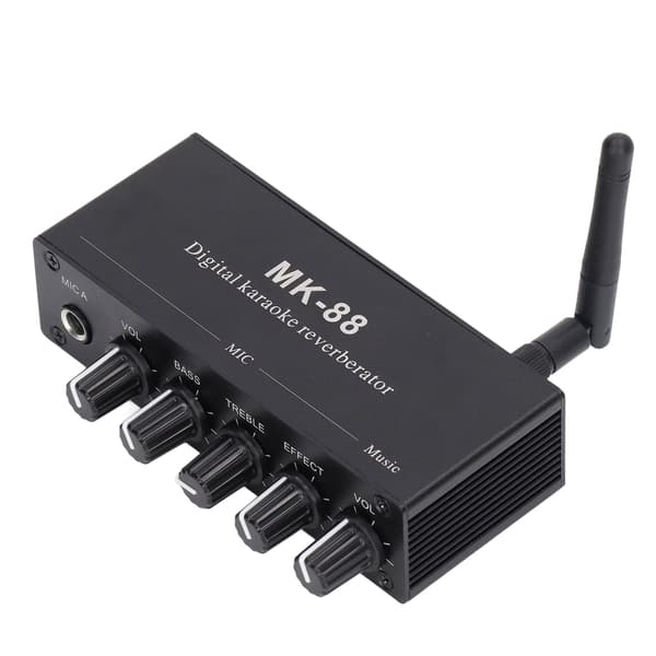 Digital Rumklang Stereo Forstærker Bluetooth 5.0 Dobbelt Mikrofonindgang DC 12V
