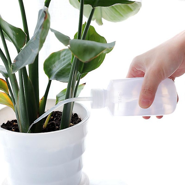 Inomhus Växt Vattenkanna Lång Pip - Trädgård Vattenkanna Växt Vattenflaska - för Krukväxter, Hem, Trädgård, Blommor, Inomhusväxter, Vattning