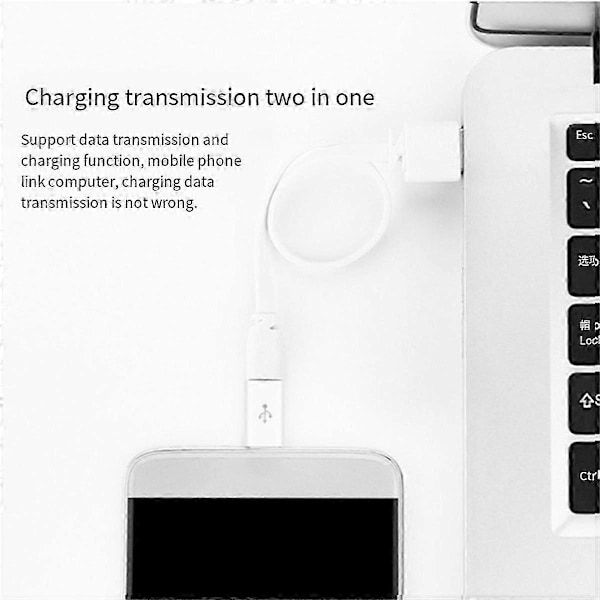 Type-C Konverter Adapter Android Mini till Type-C OTG Konverter Huvud Data Type-C Mini Konverter,