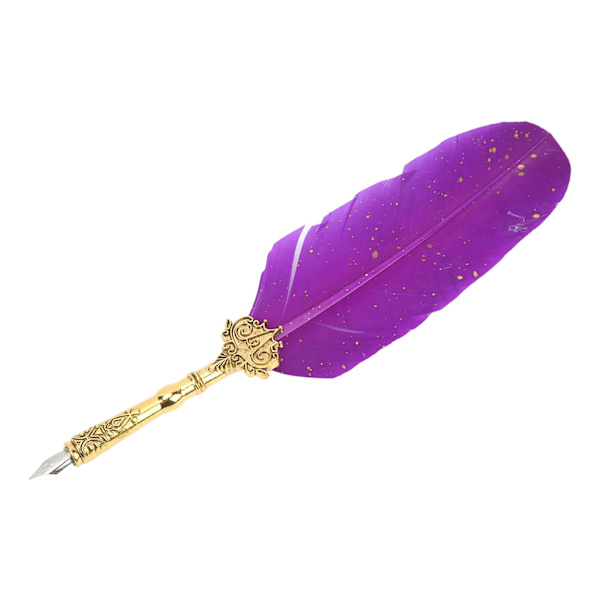 Retro Feather Pen Set Presentförpackning Lila Klar Textur Rostfritt stål Graverad Spets Pole Quill Ink Pen Set