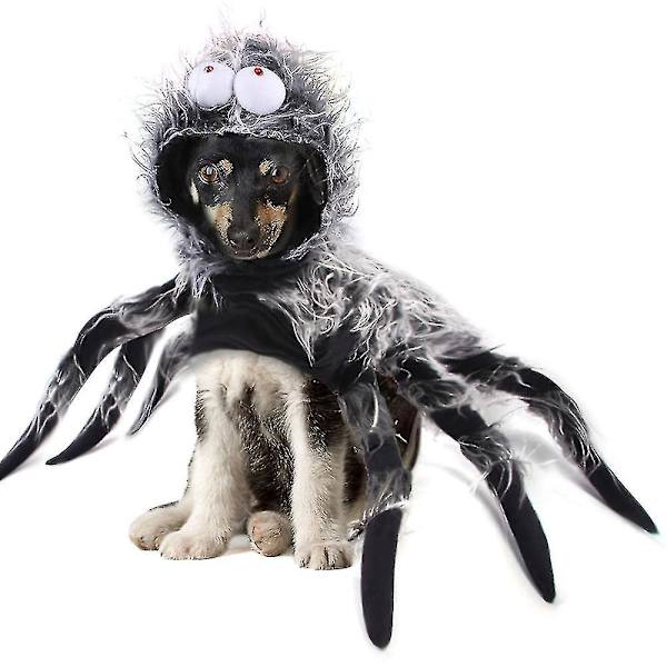 Spindelhund Halloween-dräkt Spindel M