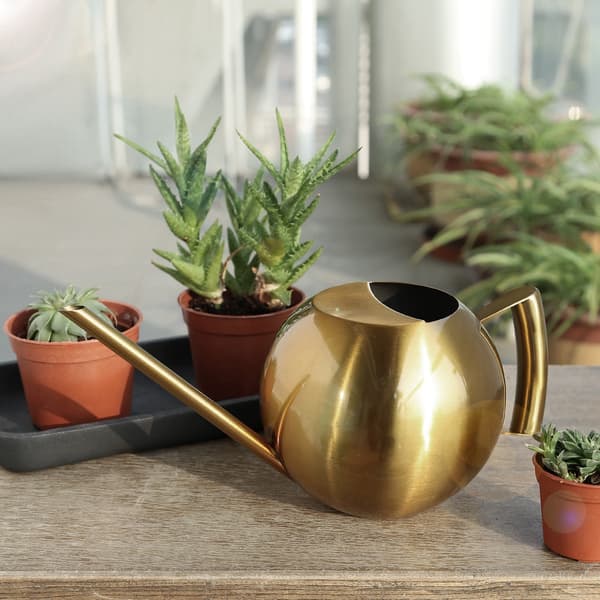 1000 ml vandkande i rustfrit stål med lang tud til haveblomster og planter, guld