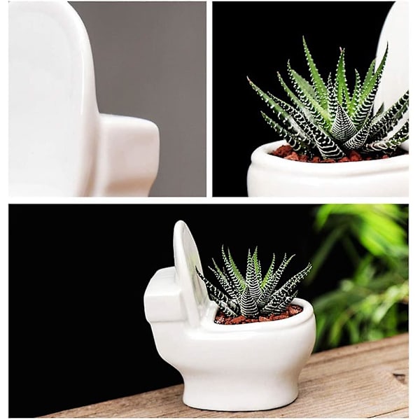 Modern Keramisk Blomkruka för Sukkulenter, Kaktusar och Bonsaiträd