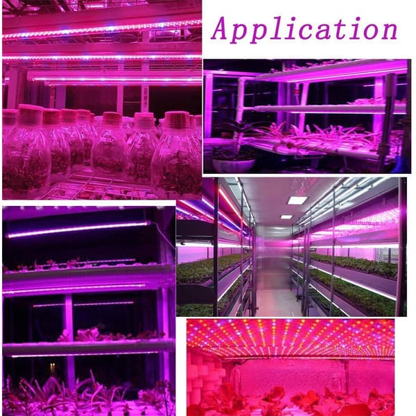 LED Plant Growth Light String 5050 SMD LED Lys Vandtæt Plantelys til Drivhus