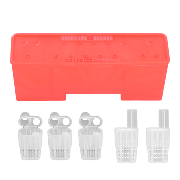 20 stk. Bee Queen Transporting Catcher Plastbur Beekeeping Equipment