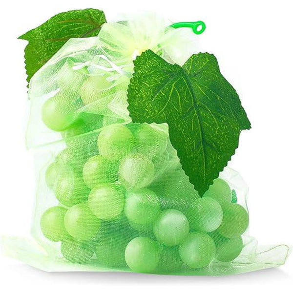 100 Fruktskyddspåse Nätpåsar Druvklas Skydd mot fåglar och insekter Getingar Bålgetingar 30 x 20 cm