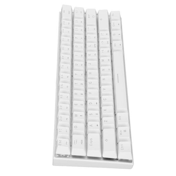 Mekanisk tangentbord 61 tangenter RGB bakgrundsbelyst USB-kabelansluten dubbelläge stor kapacitet mekaniskt spelande tangentbord vit grön axel