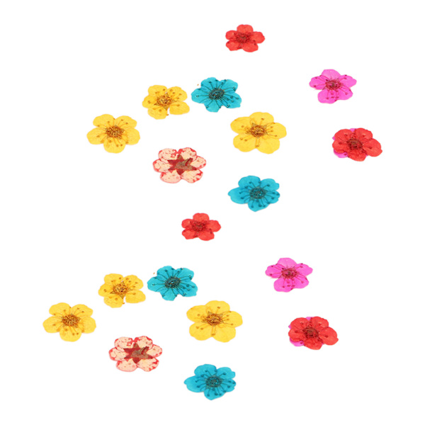 20 stk tørkede blomster blandet farge Romantisk full form organisk myk avslappende naturlige tørkede pressede blomster til dekorasjoner