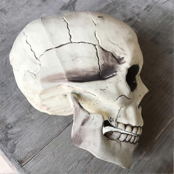 Skummelt plastskjelett med åpen munn, spøkelseshusdekorasjon, Halloween-rekvisitt Y