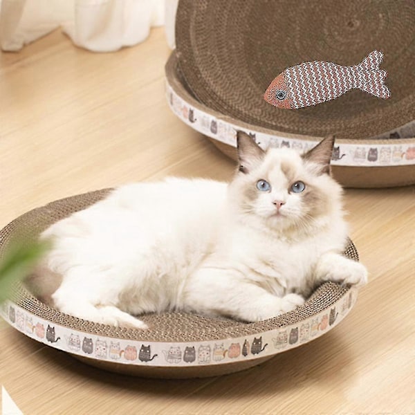 Skålformad Klösbräda för Katter med Fiskleksaker Roliga Bittåliga Träningsleksaker för Kattungar Katt Husdjur Elliptisk Liten