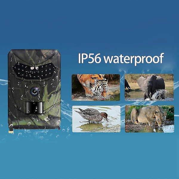 1080p 16MP Åtelkamera Viltkamera Jaktkameror kompatibel med Utomhus Djurlivsspaning