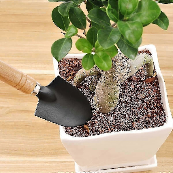 3-delt Mini Havesætsæt Bonsai Klo Rive Skovl Træhåndtag Håndholdt Værktøj