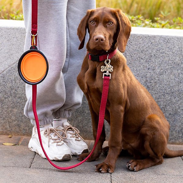 Bärbar hopfällbar hundskål Matkvalitet BPA-fri Reseskål för ätande och drickande Orange