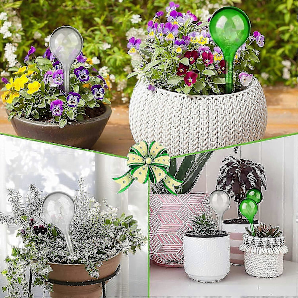 Automatisk bevattningsdroppare för blomväxter 1.96\" Diameter (Klar) 12 Stycken FÄRG 1