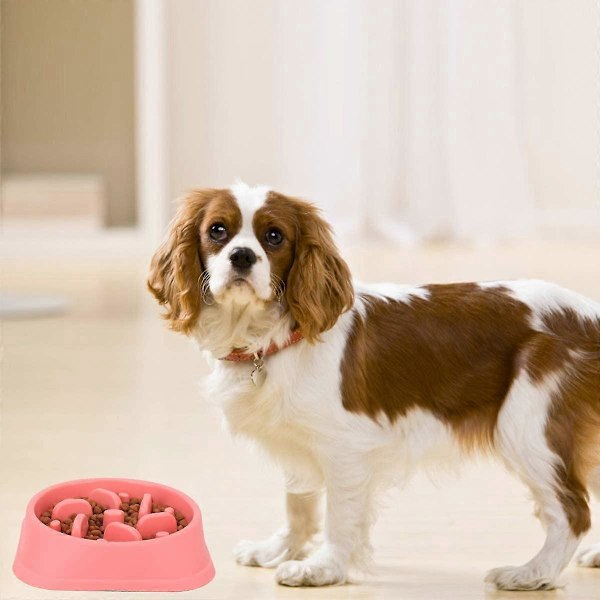 Hund Langsom Foderskål, Skridsikker Puzzle Skål - Anti-Glubende Kæledyr Langsommere Mad Fodringsskåle - Interaktive Oppustningsstop Hundeskåle - Pink