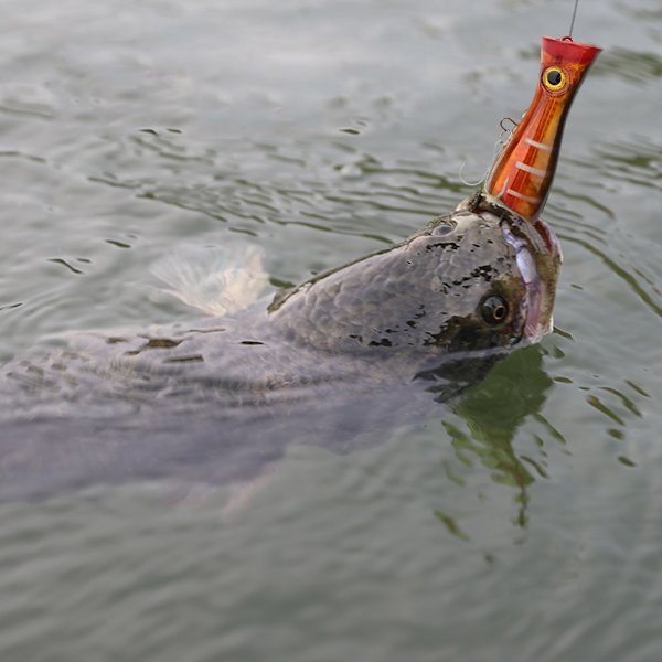13cm artificiellt 3D-ögon fiskbete havsfiske sötvatten fiskedrag med krok (svart & orange)
