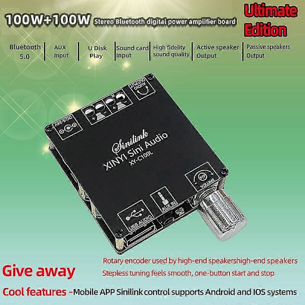 XY-C100L HIFI 100WX2 Bluetooth 5.0 Högeffekts Digital Stereo