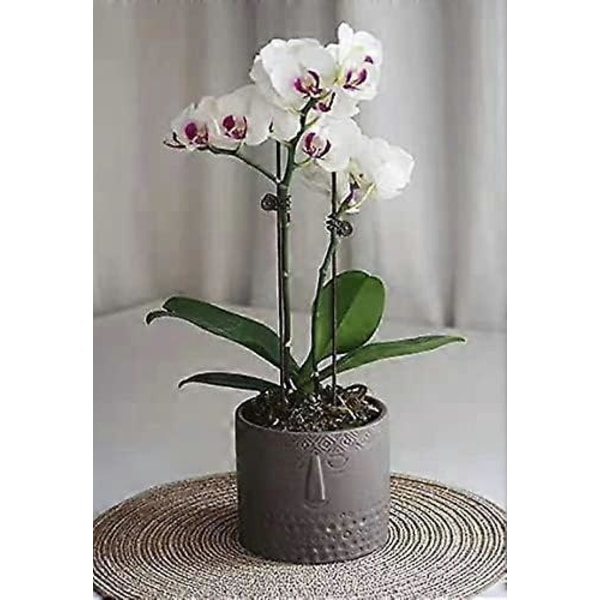 Set med 2 keramiska blomkrukor för suckulenter, kreativa blomkrukor för vardagsrum, kontor (vit + grå)