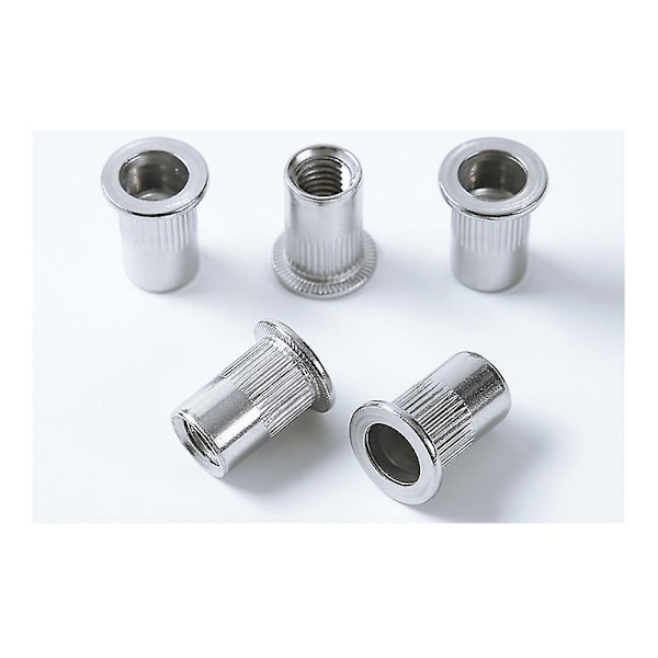 50 st M6 304 Rostfria Nitmuttrar Sortiment Blindmuttrar Rostsäker Mutter Silver
