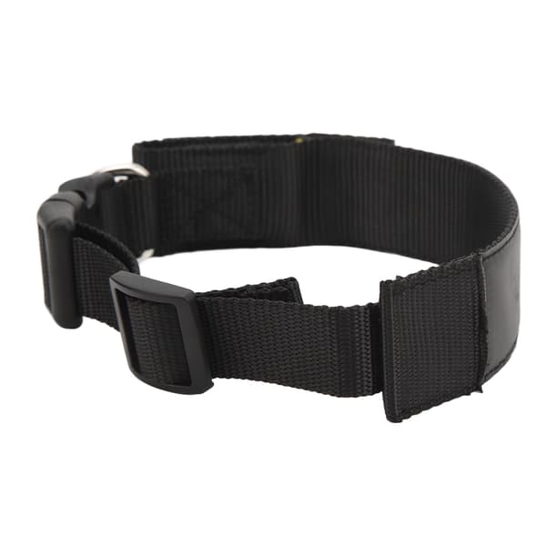 Programmerbart LED-halsband Uppladdningsbart Husdjur Hund Säkerhet Blinkande Lyser Upp Halsögla Mobil Bluetooth Sänder Enfärgad Röd