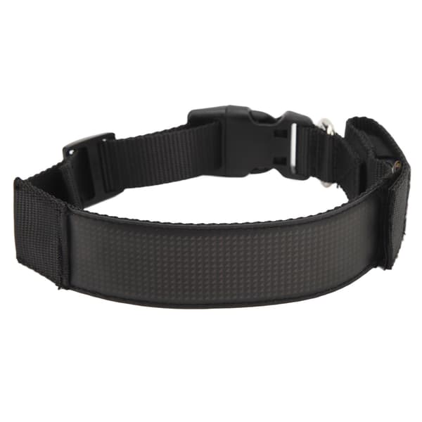 Programmerbart LED-halsband Uppladdningsbart Husdjur Hund Säkerhet Blinkande Lyser Upp Halsögla Mobil Bluetooth Sänder Enfärgad Röd