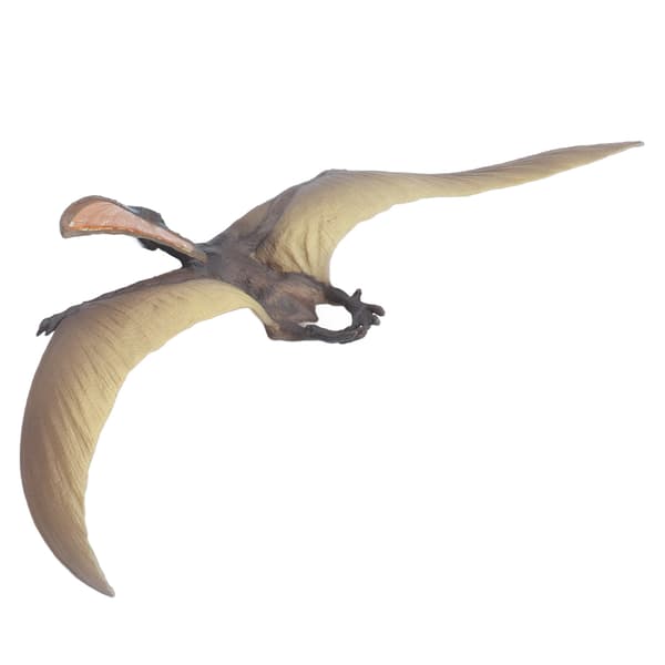 Jurassic Dinosaur Model Legetøj Simulation Pterosaur Samling Model Pædagogisk Legetøj til Børn Simulation Pterosaur Model