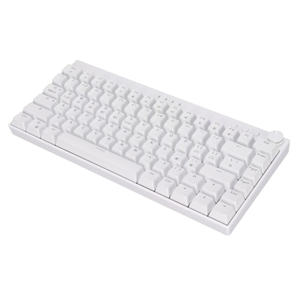 Tre lägen mekaniskt tangentbord 82 tangenter RGB dynamisk bakgrundsbelysning N Key Rollover vitt mekaniskt tangentbord för kontor hem brun omkopplare
