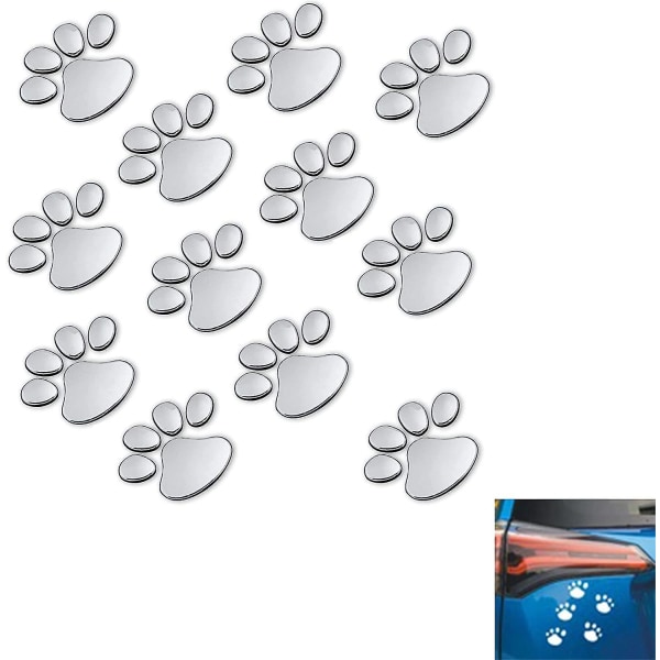 12 hopeaa autotarrapakkaus
