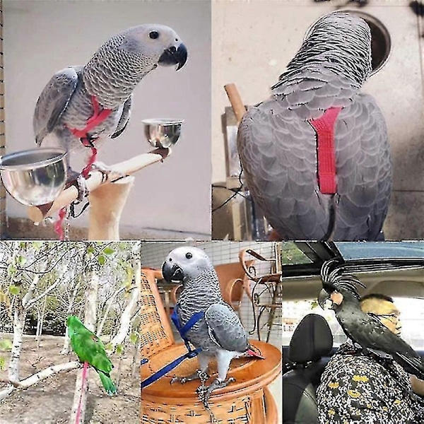 Säädettävä Papukaijalintuvaljaat Talutushihna - Ulkokäyttöön Lentävät Vetohihnat - Puremisenestokoulutus Köysi XL