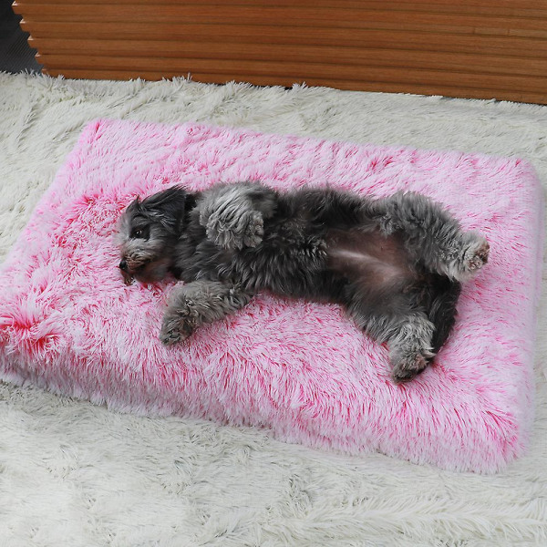 Dyne sovesofa pute for hunder og katter - Plysj firkantet design - rosa og hvit - liten størrelse (40*30*5 cm)