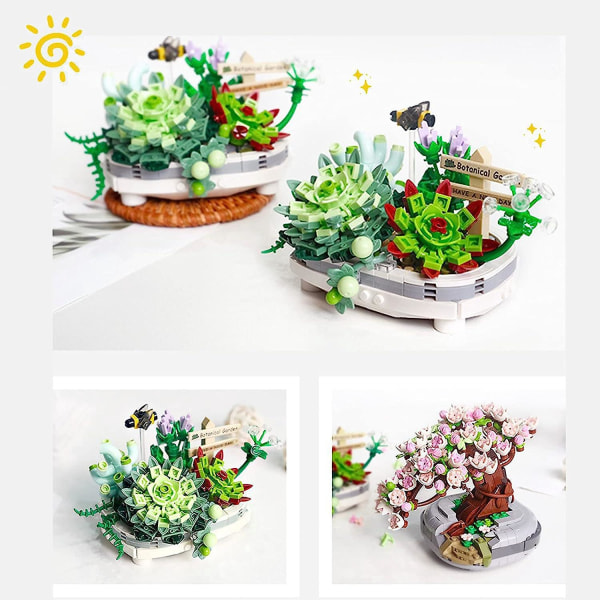 Tee-se-itse mehikimppujen set aikuisille ja teini-ikäisille