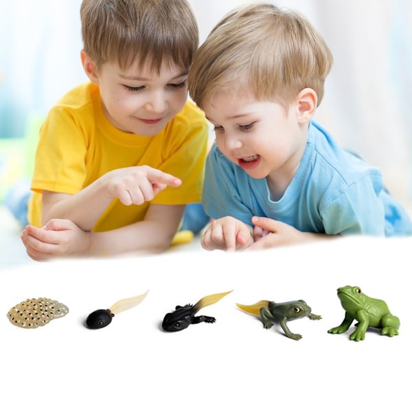 Simuleringsdjurmodell Barn Mini Djur Tupp Myror Groda Sköldpadda Mygga Tillväxtcykel PVC Actionfigurer Dockleksak för Barn