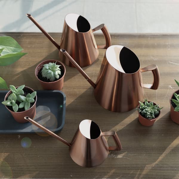 Vandkande i rustfrit stål til husholdning, have, grønne planter, blomster, bronze M