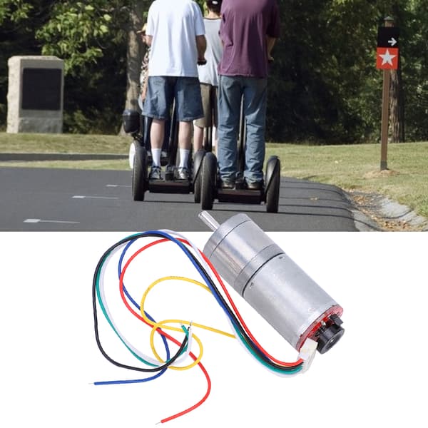 DC-girmotor med hastighetskoder børstet DC-motorreduksjon kobber rustfritt stål - 1 stk DC12V 100RPMDC12V 100RPM