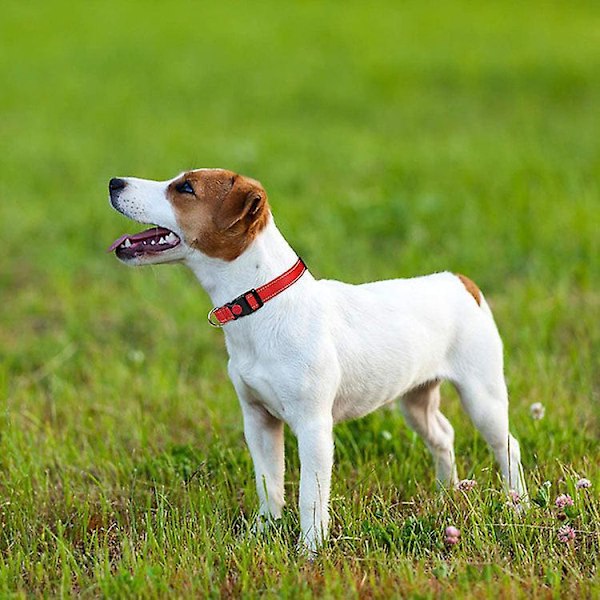 Hundhalsband, Klassiskt Justerbart Reflexhalsband i Nylon med Andningsbar Mjuk Vaddering M, Röd