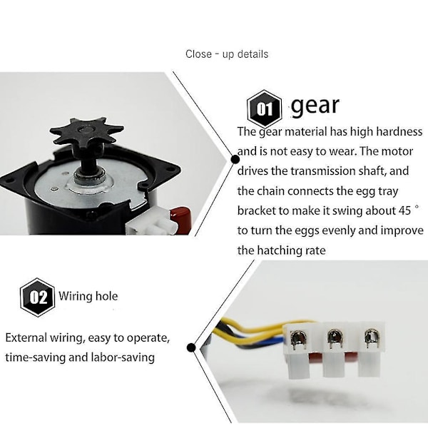 60KTYZ Klopol Permanentmagnet Synkronmotor AC220V 14W 50Hz Mini Växelmotor Låg Hastighet 2.5R/-B8
