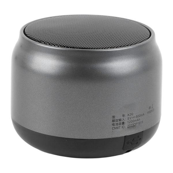 Bärbar Bluetooth-högtalare Hög känslighet 1200mAh Trådlös Bluetooth 5.0-högtalare med snodd för resor utomhus