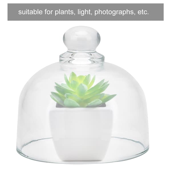 Transparent Glass Støvdeksel for Klokker Ornamenter DIY Dekorasjon Samling