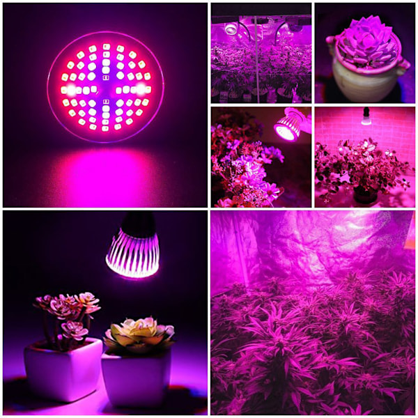 60W 60LED Full Spectrum Plantevækstlys Pære til Plante Hydroponisk Blomster Plantning Dyrkning 85-265V