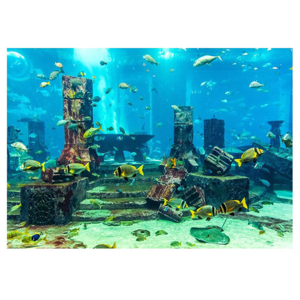 Underwater Coral Aquarium Fish Tank Veggdekor plakat 76*46cm 76*46cm