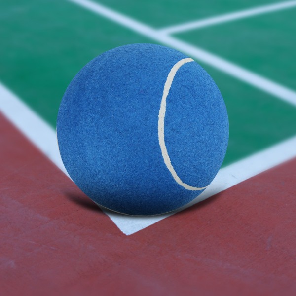 8 tommer stor oppustelig gummi tennisbold signatur kæledyrslegetøj med net til at spille blåblå