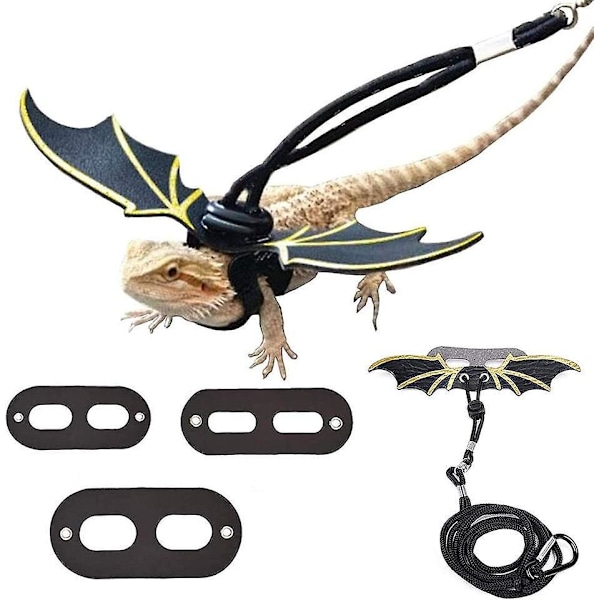 Dragon Wing Reptilsele - 3 Storlekar, 2 Set