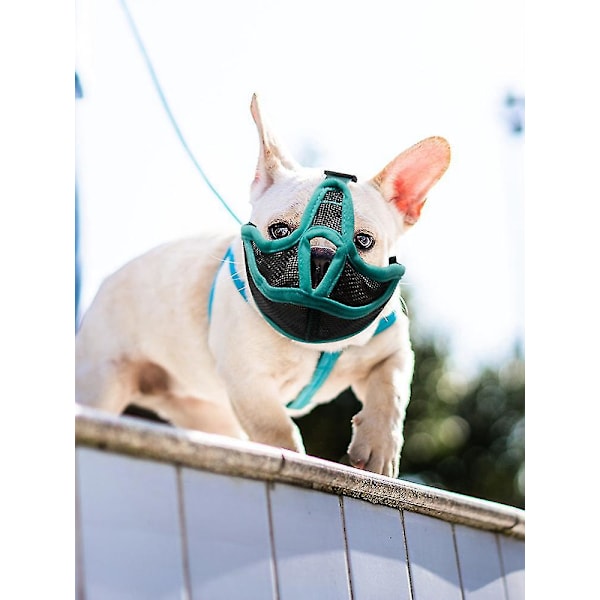 Åndbar Mesh Justerbar Hunde Mundkurv til Franske Bulldogs og Mops M Sort